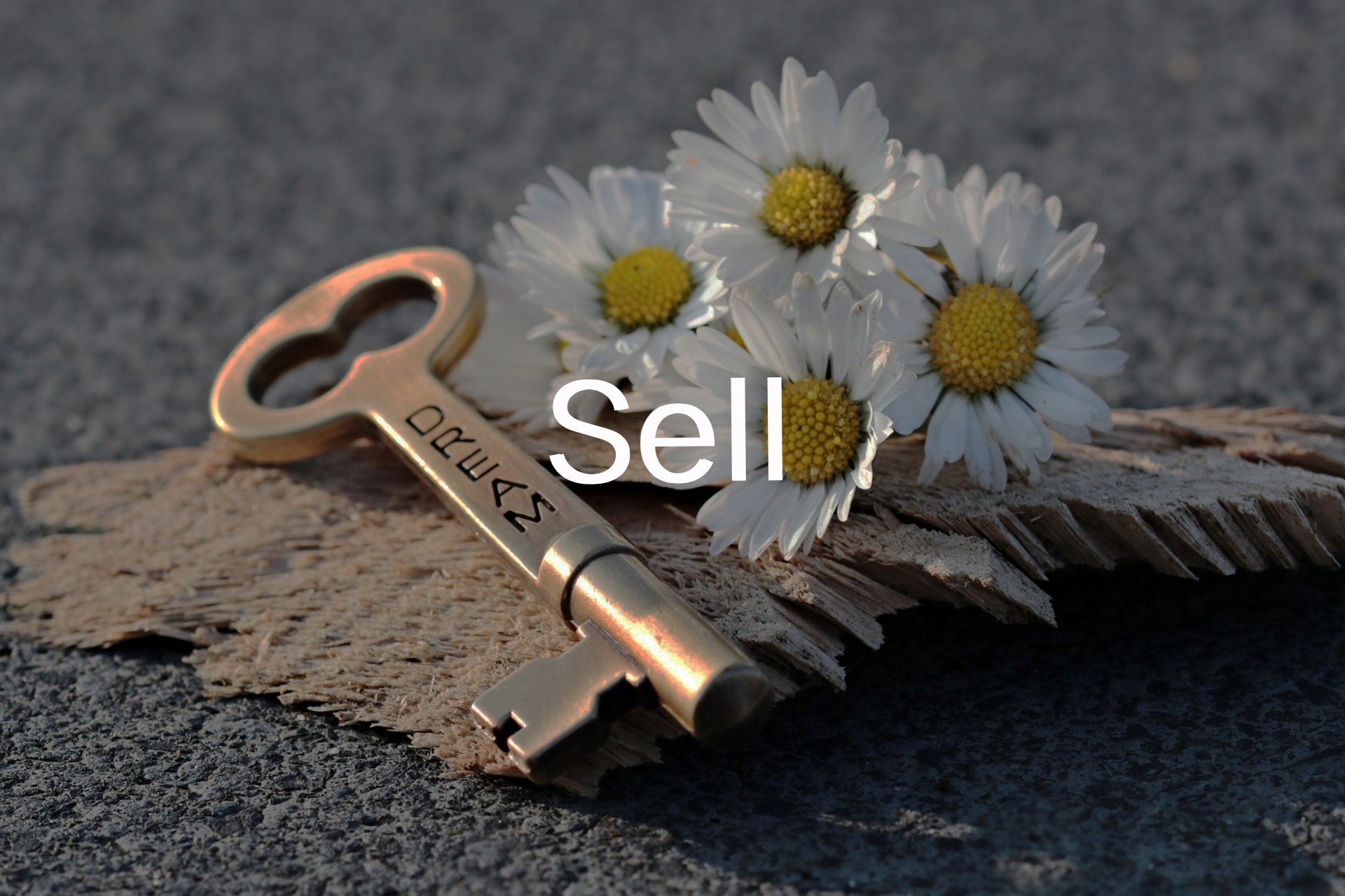 sell