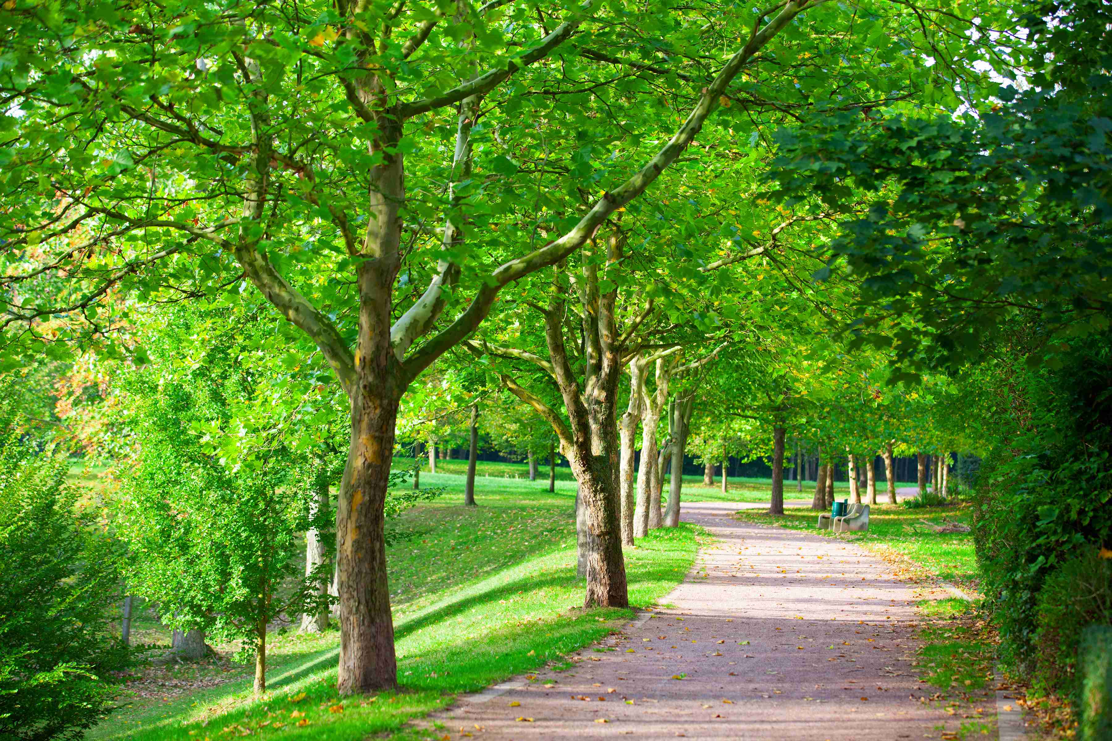Highlands Ranch homes and Denver Colorado